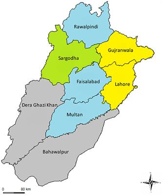 A Value Chain Approach to Characterize the Chicken Sub-sector in Pakistan